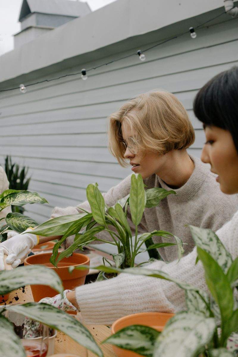 季節の花壇づくり