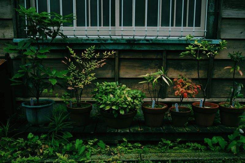 ベランダ・屋上ガーデニング施工
